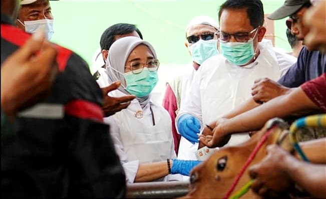 Tinjau Pasar Probolinggo, Pj Adhy Jamin Hewan Ternak Sehat & Bebas PMK
