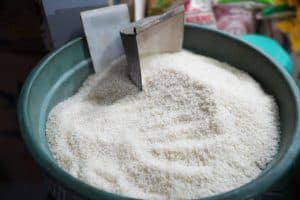 Breaking! Update Harga Beras, Cek Penurunan Harga di Wilayah Anda
