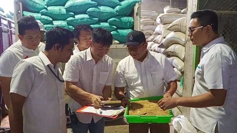Sambut Panen Raya: BULOG Jatim Serap 196 Ribu Ton Gabah Petani Lokal