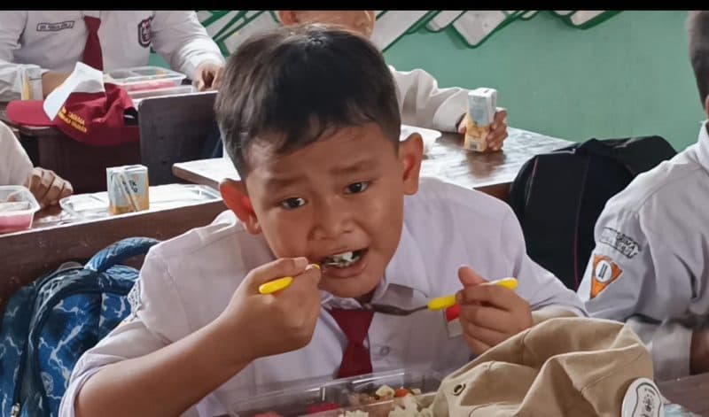 Sinergi MBG dan Koperasi: Wajibkan Susu, Peternak Lokal Makin Berdaya